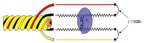 線纜式水浸傳感器，了解一下